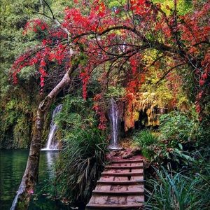 Meet your Posher, Uyen le